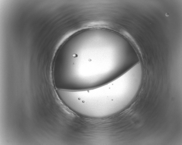X0000066121336200603101031