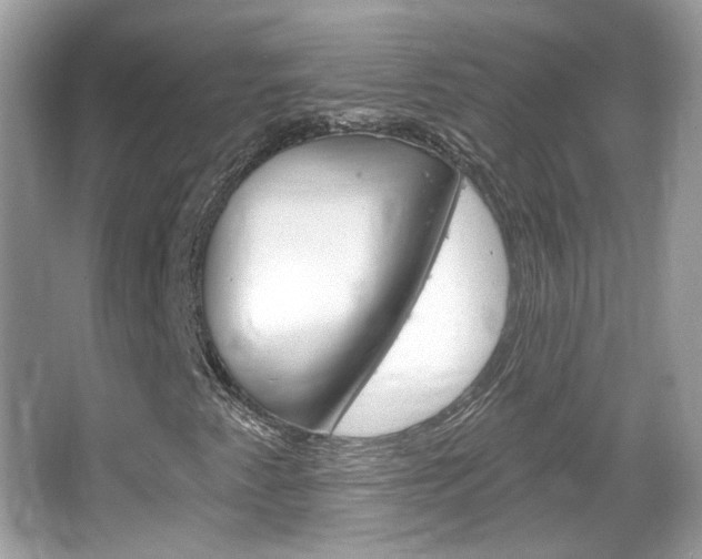 X0000066121345200603101031