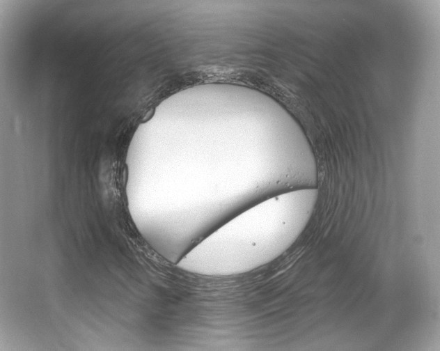 X0000066121346200603101031