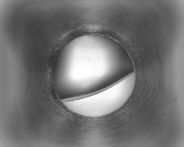 X0000066121349200603101031