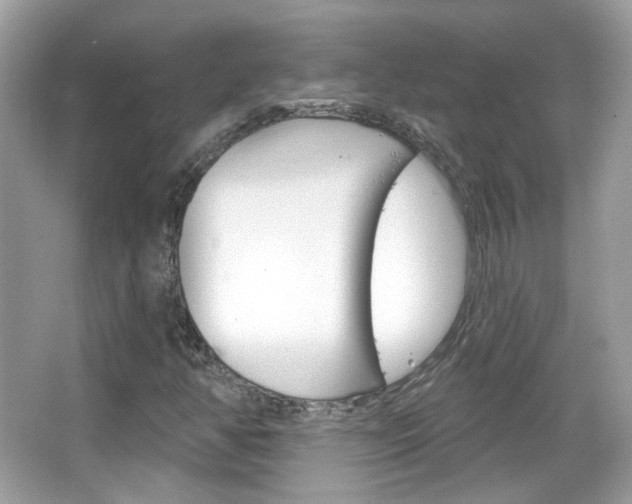 X0000066121350200603101031
