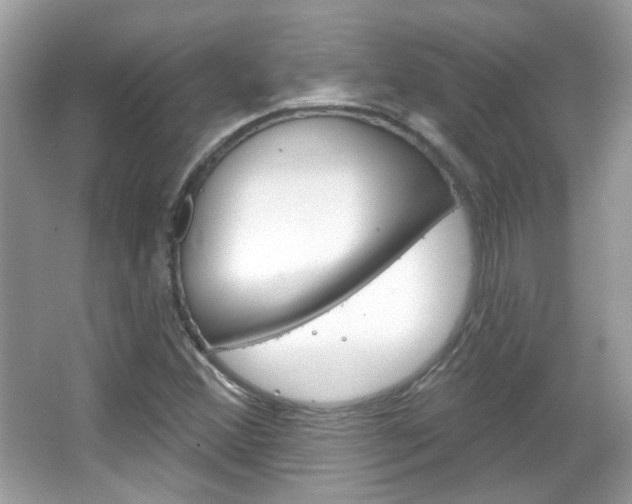 X0000066121356200603101031