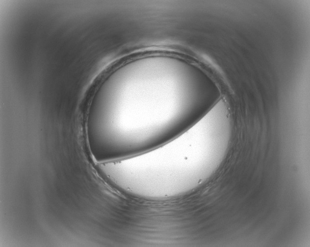 X0000066121360200603101031