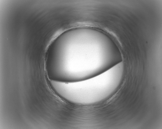 X0000066121365200603101030