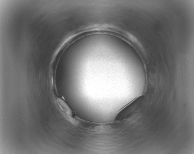 X0000066121368200603101030