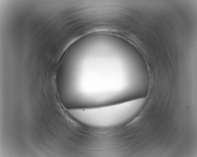 X0000066121369200603101030