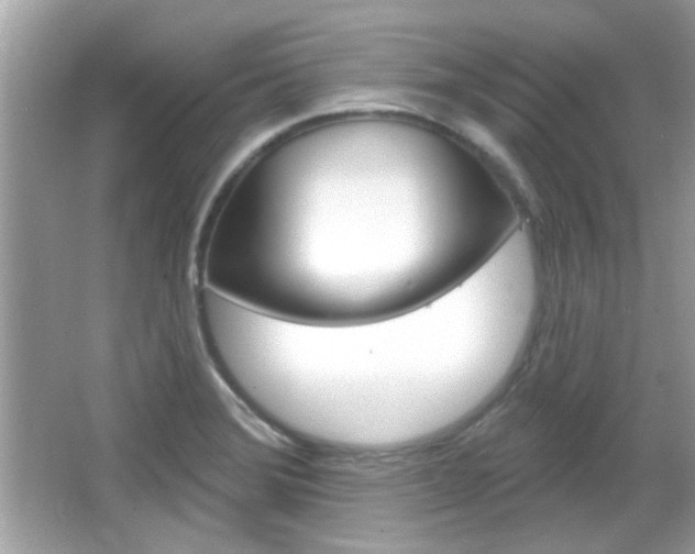 X0000066121372200603101030