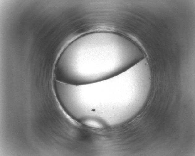 X0000066121379200603101030