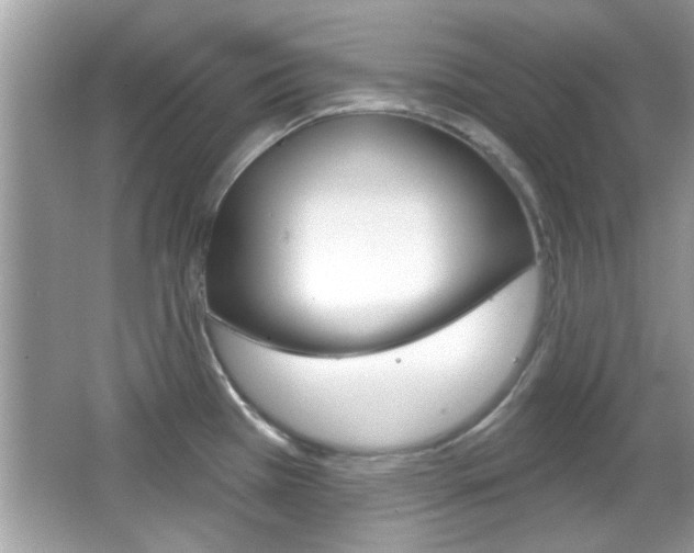 X0000066121385200603101030