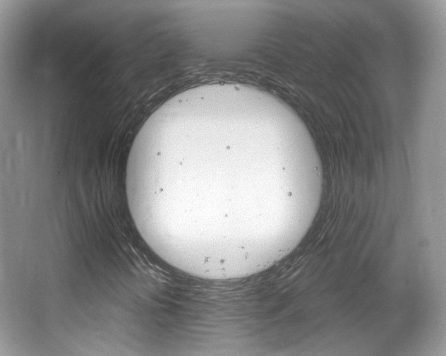 X0000066121394200603101029