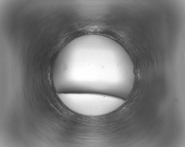 X0000066121396200603101029