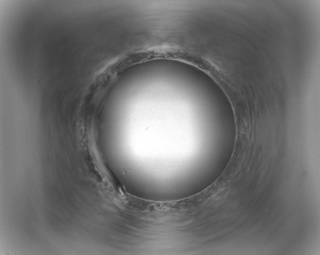 X0000066121398200603101029
