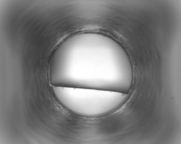 X0000066121401200603101029