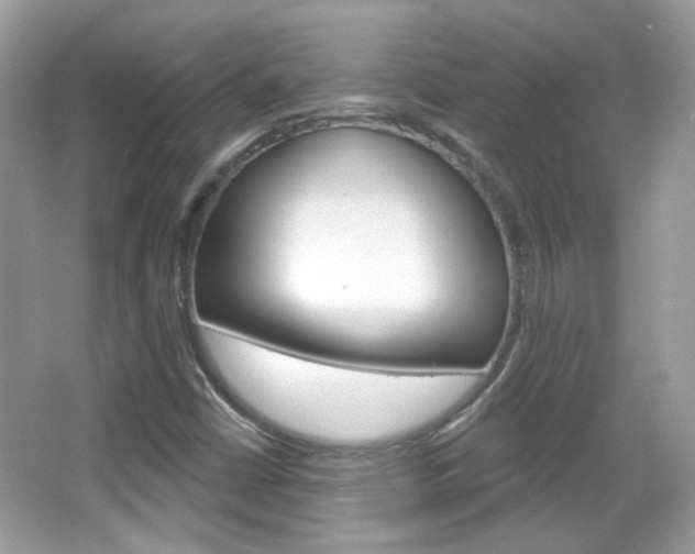 X0000066121402200603101029