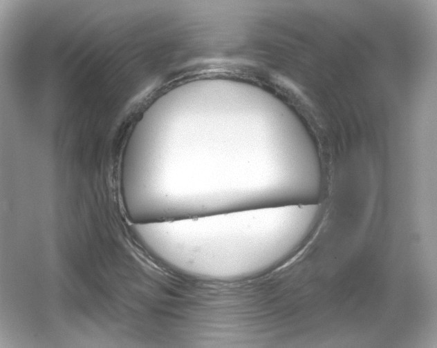 X0000066121403200603101029