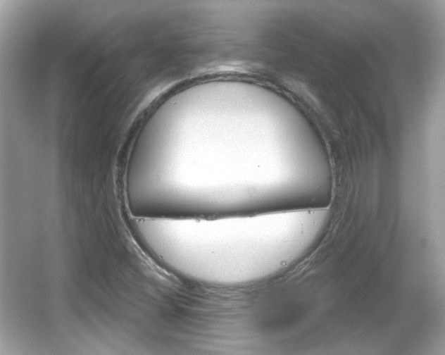 X0000066121404200603101029