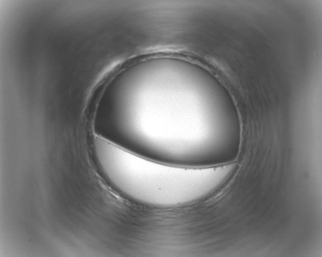 X0000066121406200603101029