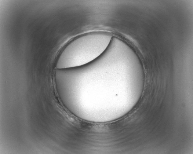 X0000066121407200603101029