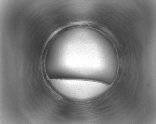 X0000066121412200603101029