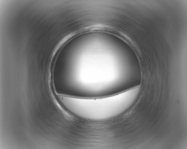 X0000066121418200603101030