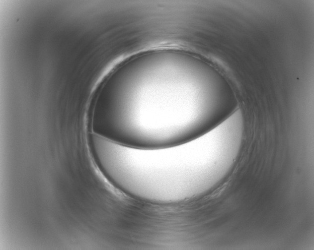 X0000066121422200603101030