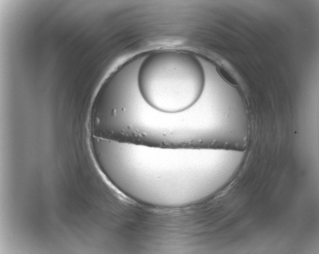 X0000066121432200603101030
