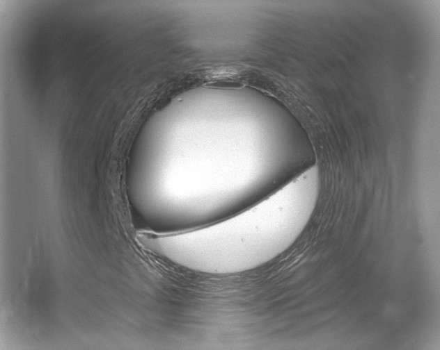 X0000066121441200603101029