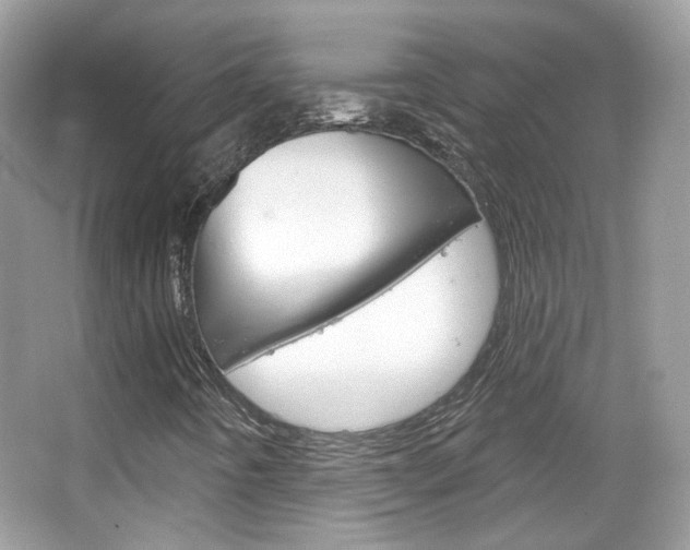X0000066121442200603101029