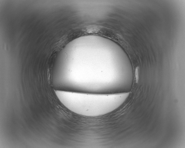 X0000066121443200603101029