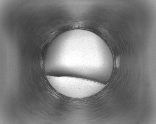X0000066121444200603101029