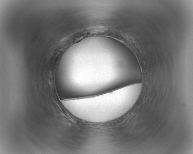 X0000066121445200603101029