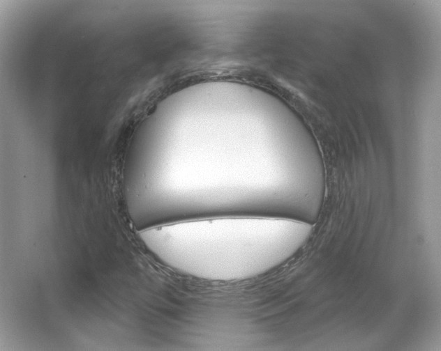 X0000066121447200603101029