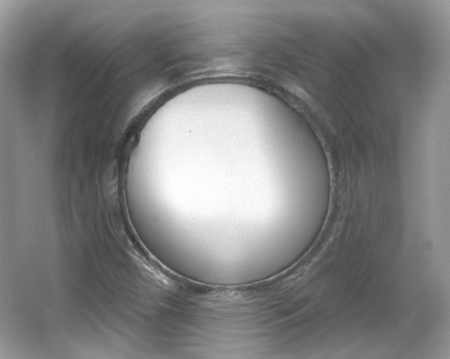X0000066121450200603101029