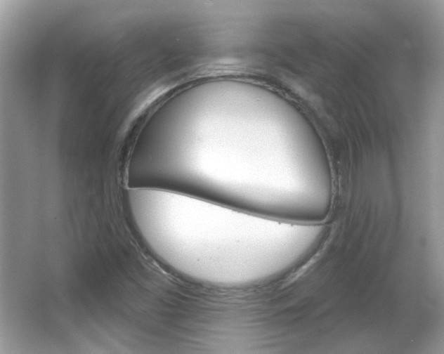 X0000066121453200603101029