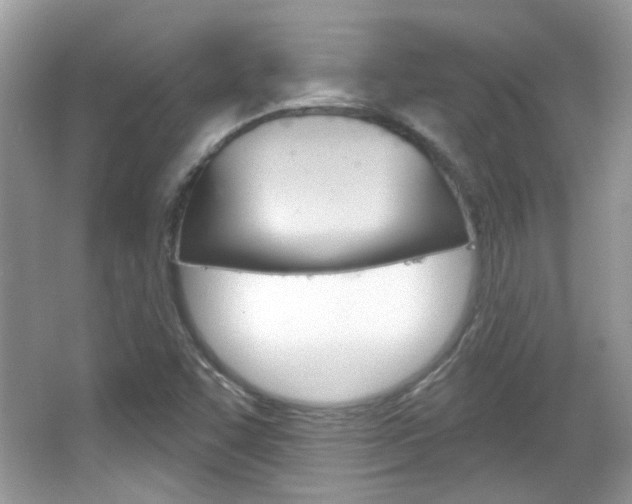 X0000066121455200603101029