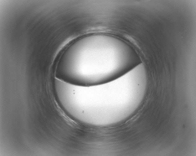 X0000066121458200603101029