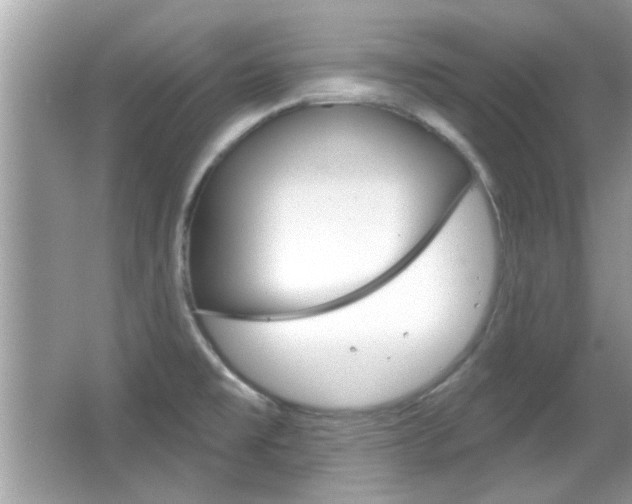 X0000066121477200603101029