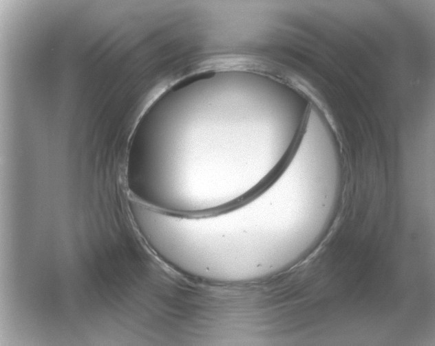 X0000066121481200603101028