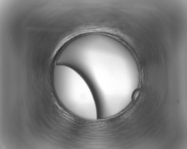 X0000066121501200603101028