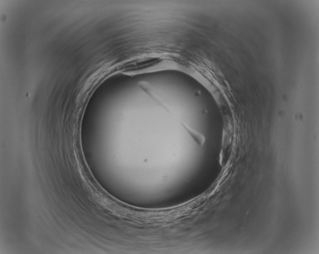 X0000066120001200603101247