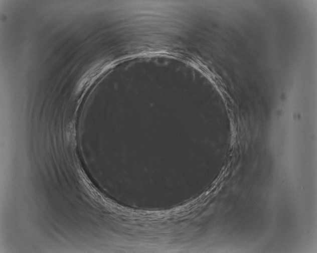 X0000066120002200603101247