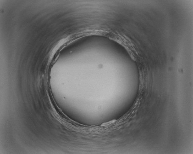 X0000066120003200603101247