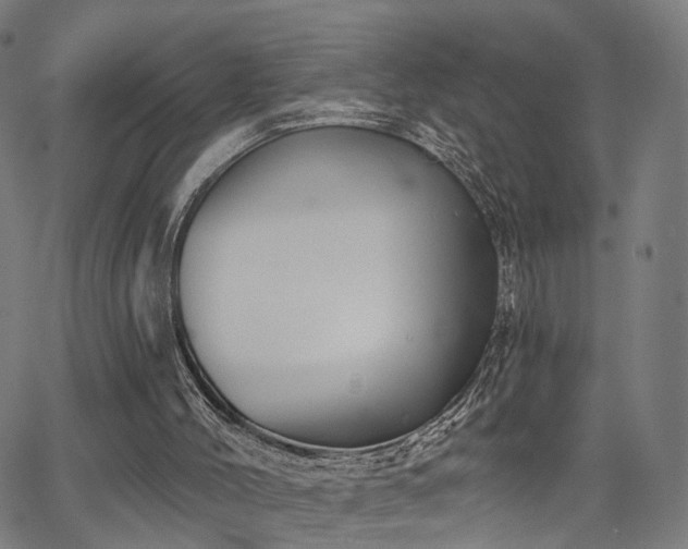 X0000066120004200603101247