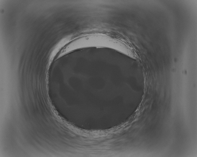 X0000066120006200603101247