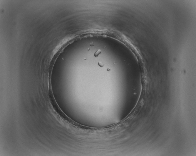 X0000066120011200603101247