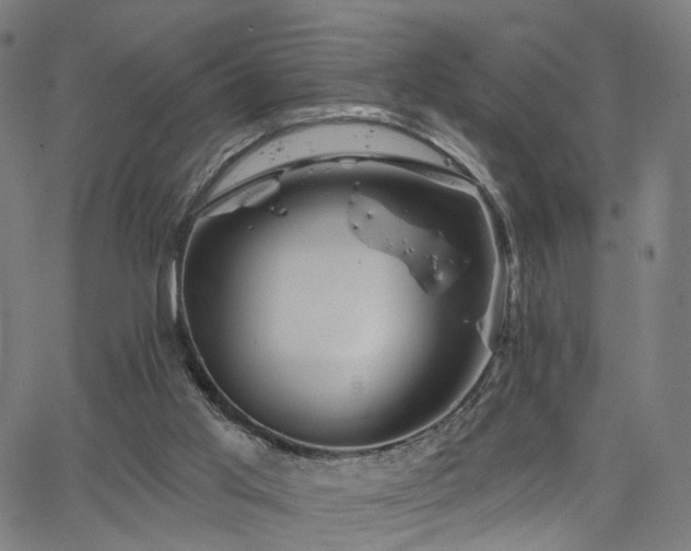 X0000066120013200603101247