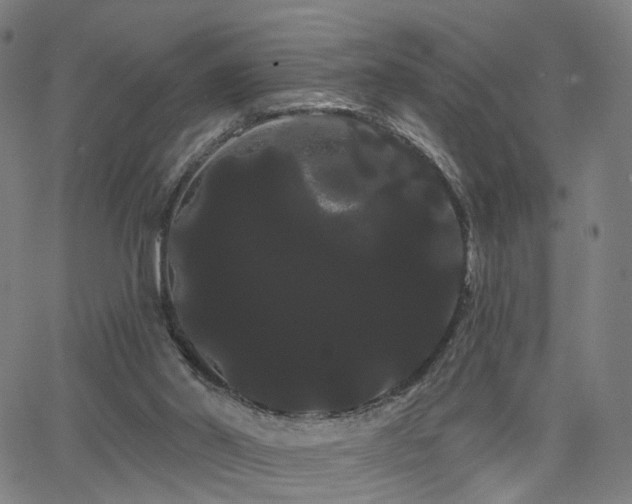 X0000066120014200603101247