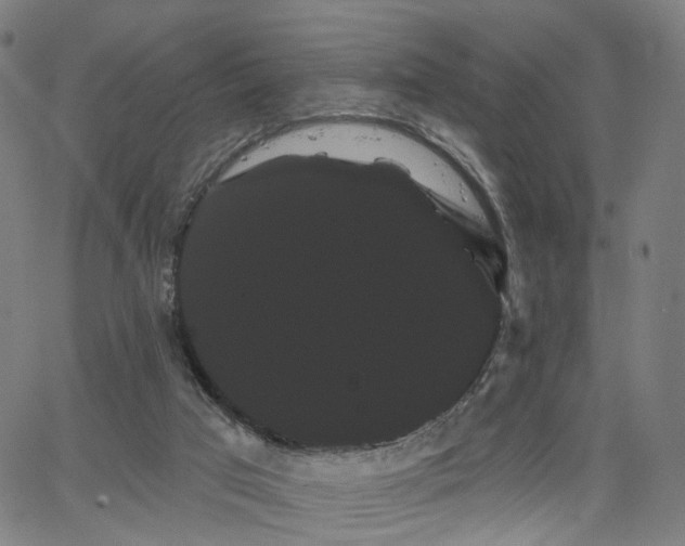 X0000066120017200603101247