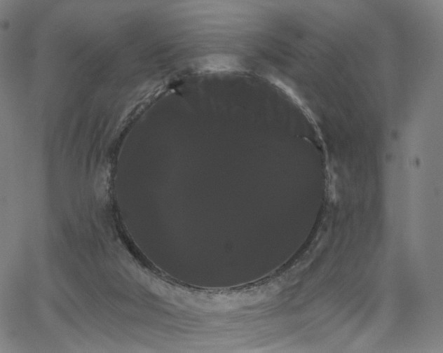 X0000066120018200603101247