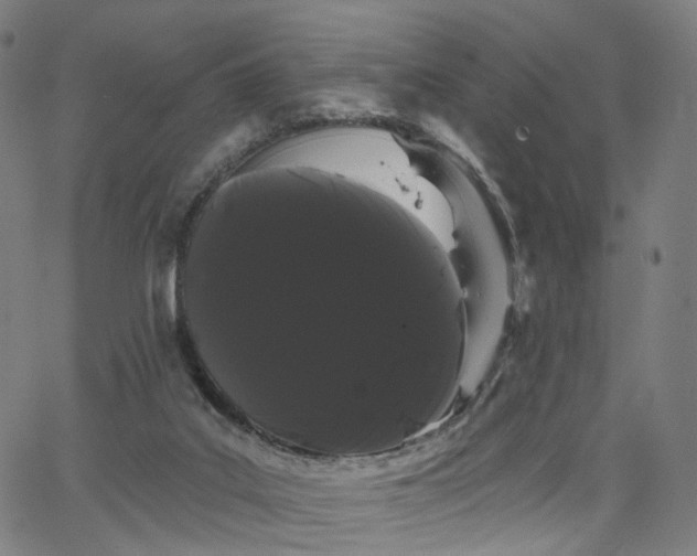 X0000066120019200603101247